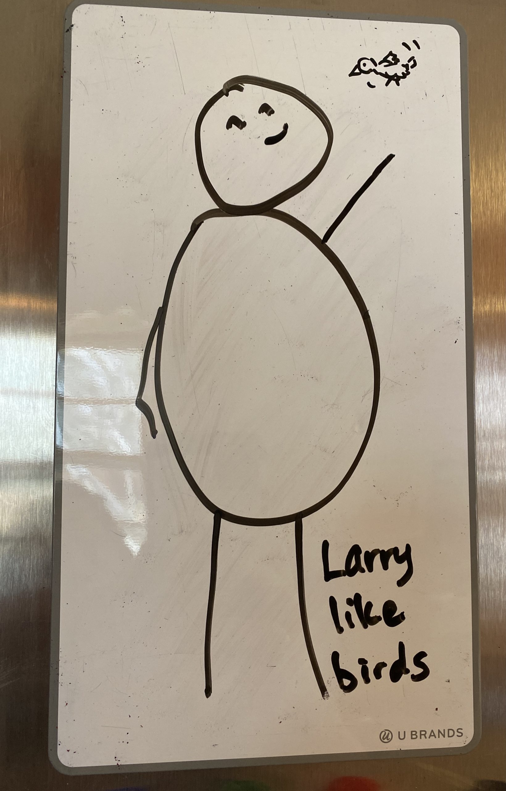 Read more about the article 02 – Larry Likes Birds