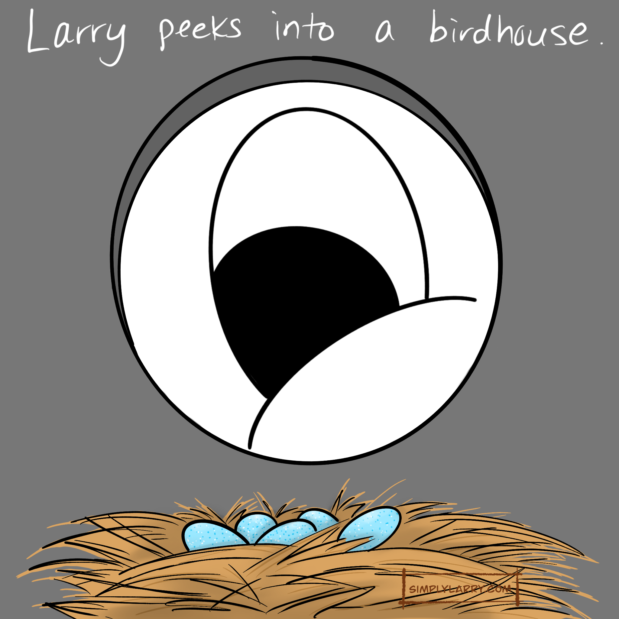 Read more about the article 62 – Larry Peeks into a Birdhouse
